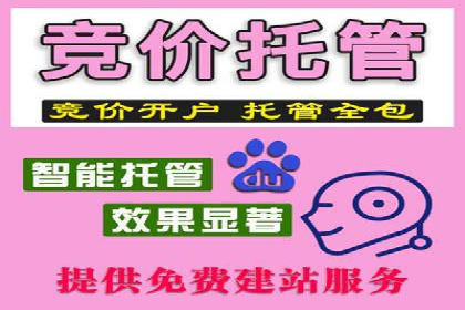 某电商网站sem托管全记录：流量暴增的背后